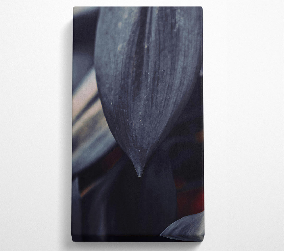  A Canvas Print of Dark Grey Leaf Drip Canvas Wall Art