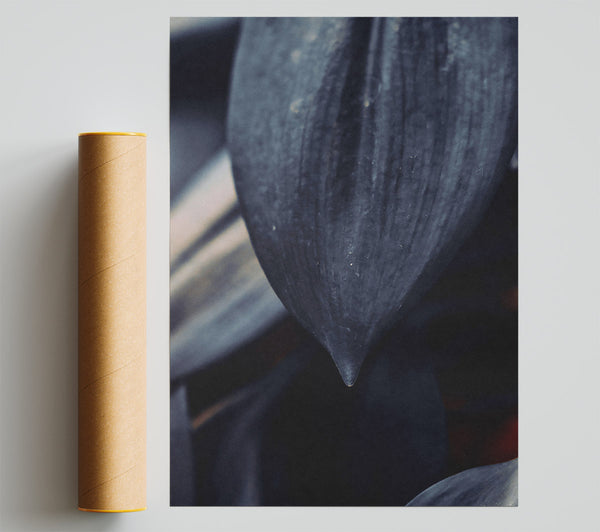 Dark Grey Leaf Drip Print
