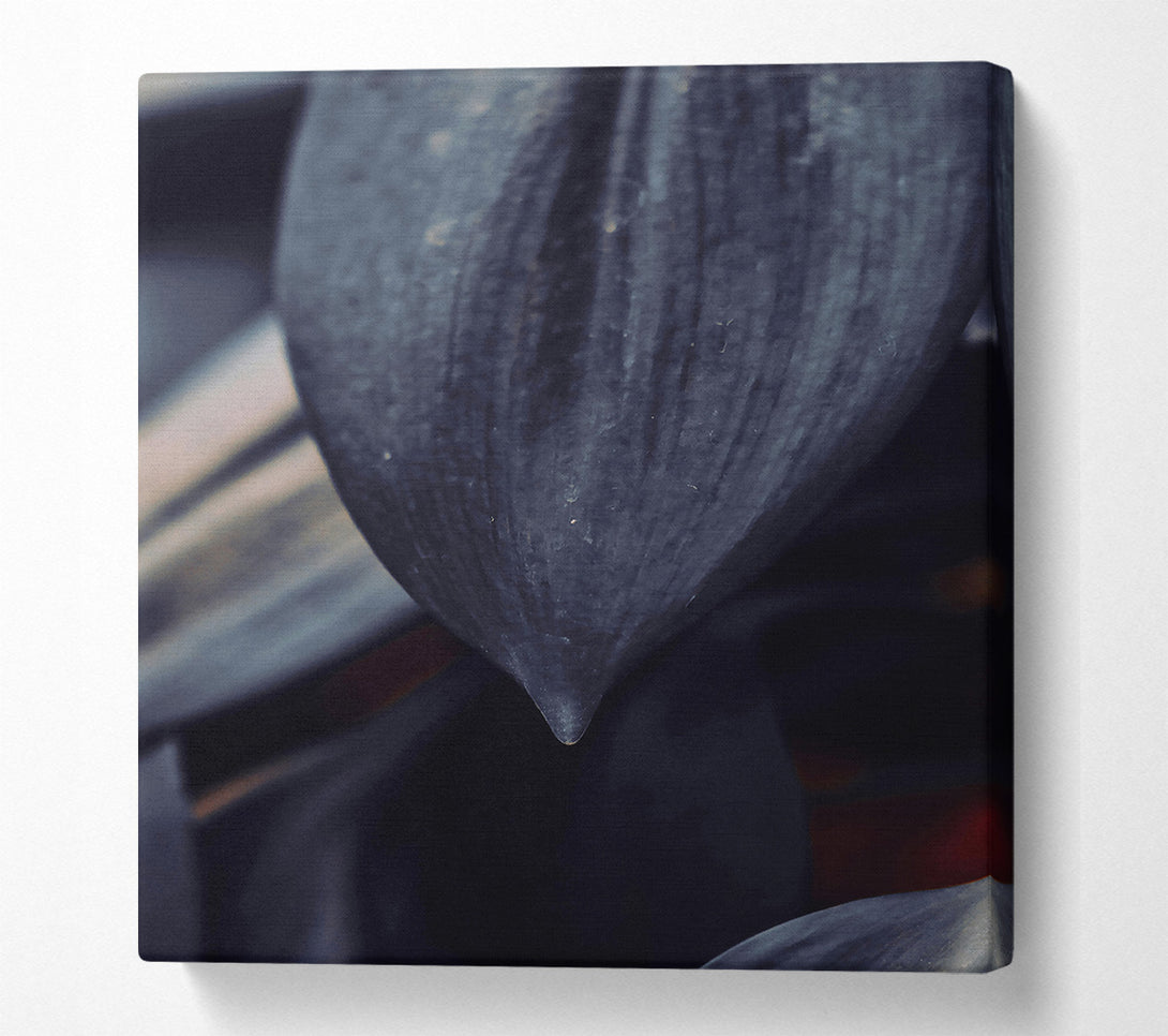  A Canvas Print of Dark Grey Leaf Drip Canvas Wall Art