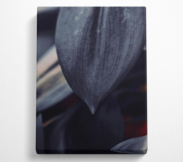  A Canvas Print of Dark Grey Leaf Drip Canvas Wall Art