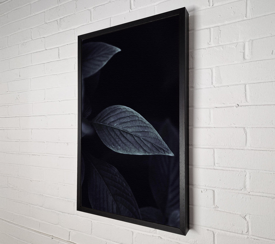  A Canvas Print of Indigo Leaf Shadow Canvas Print