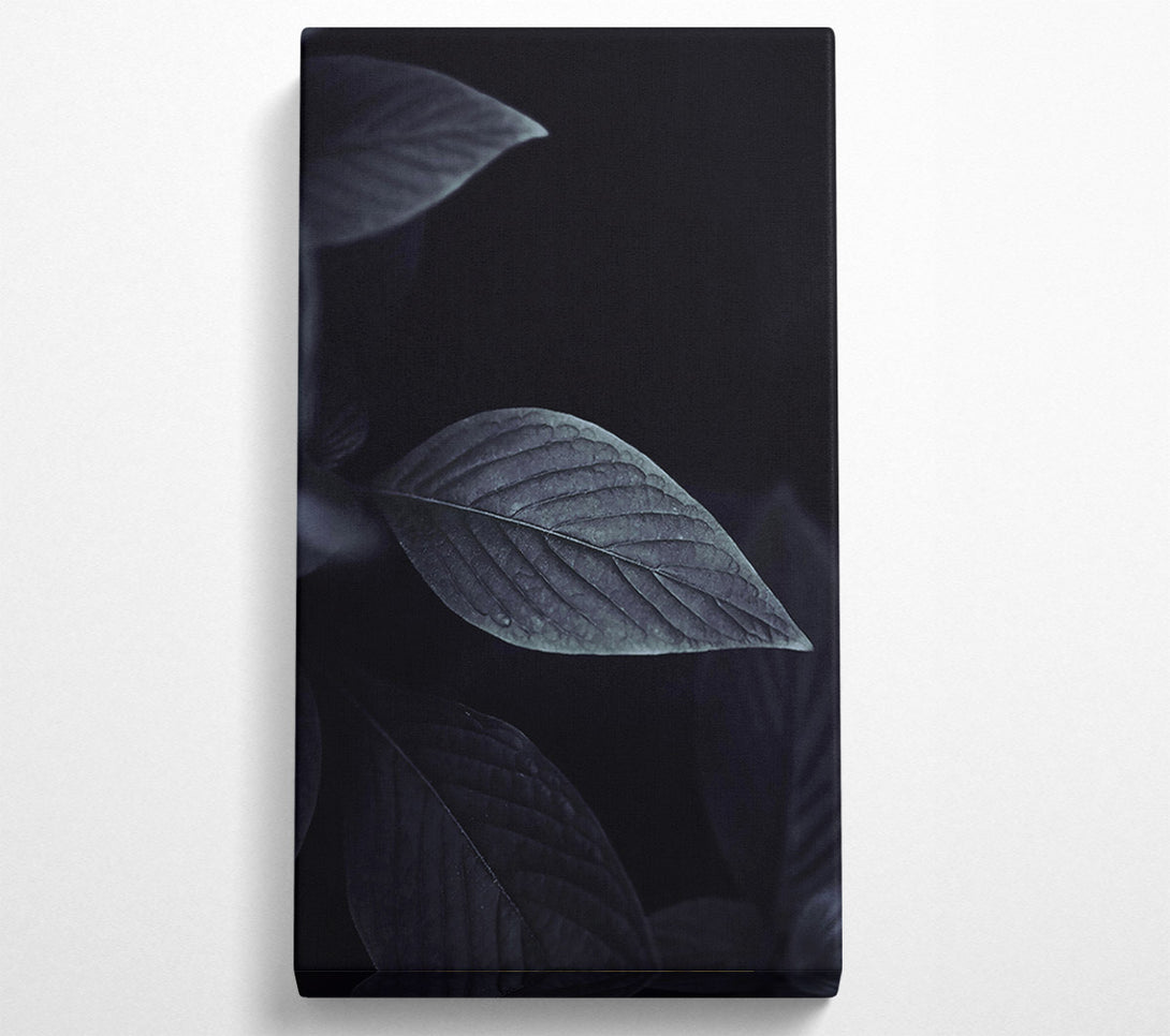 A Canvas Print of Indigo Leaf Shadow Canvas Print