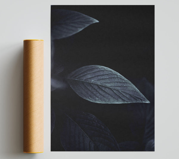 Indigo Leaf Shadow Giclee Print
