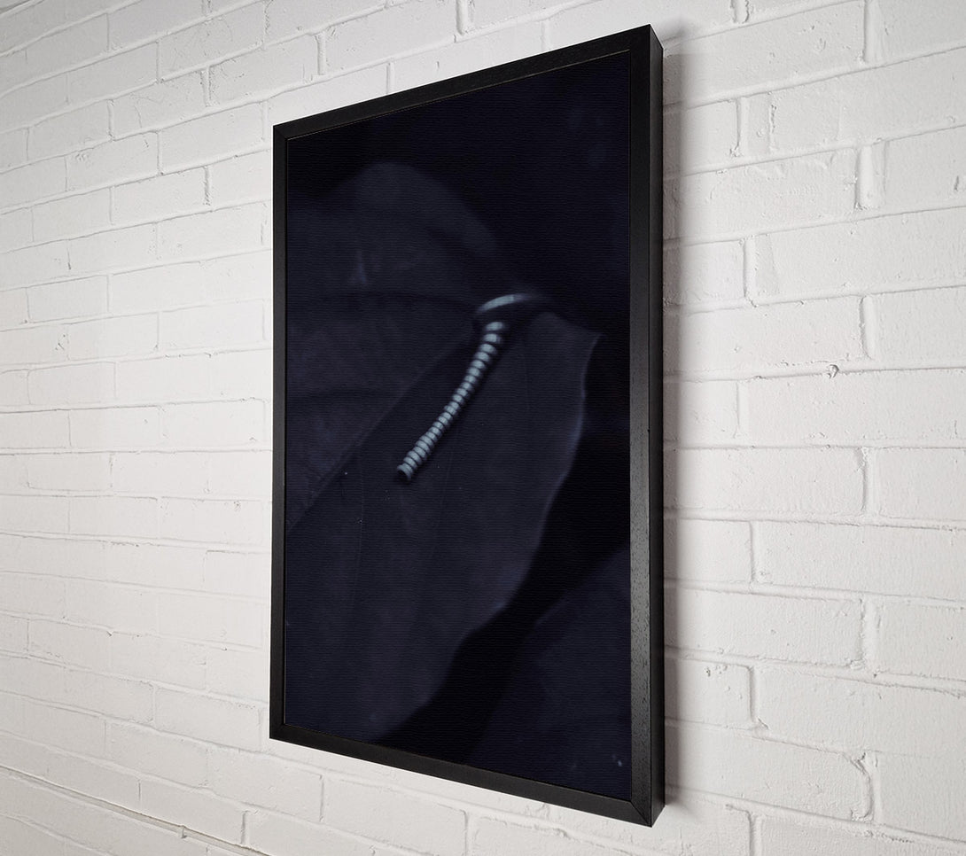  A Canvas Print of Silver On Black Leaf. Canvas Wall Art