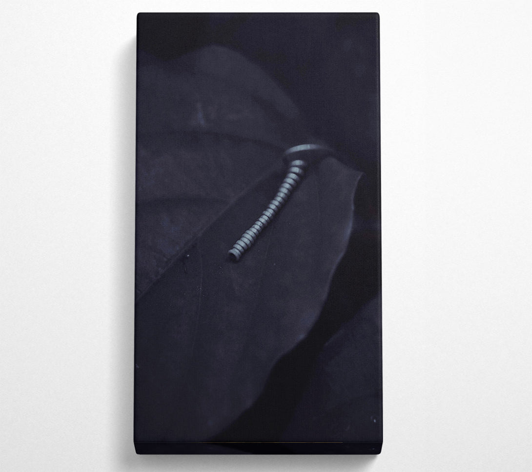  A Canvas Print of Silver On Black Leaf. Canvas Wall Art