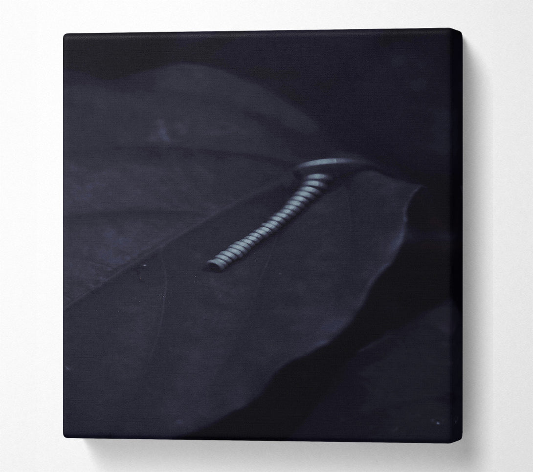  A Canvas Print of Silver On Black Leaf. Canvas Wall Art