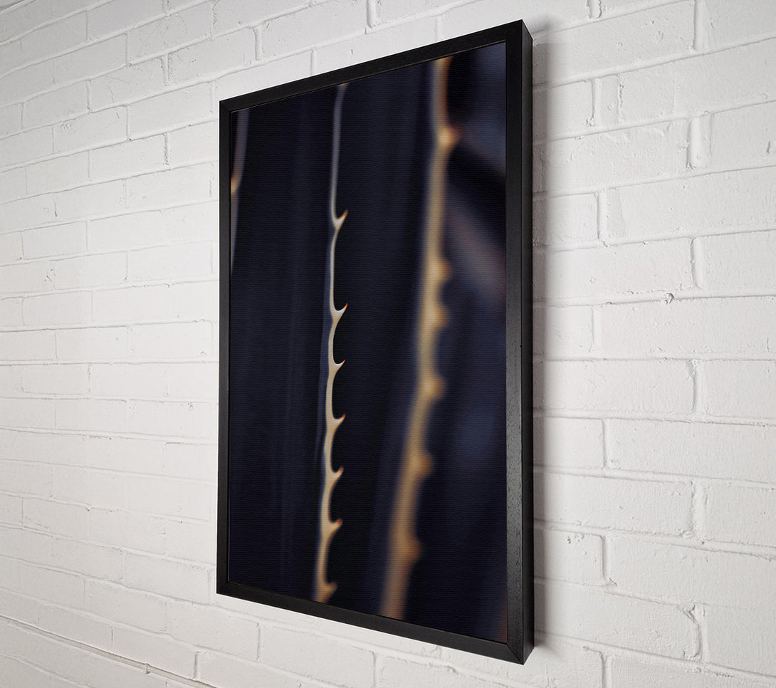  A Canvas Print of Golden Spines On Black Canvas Wall Art