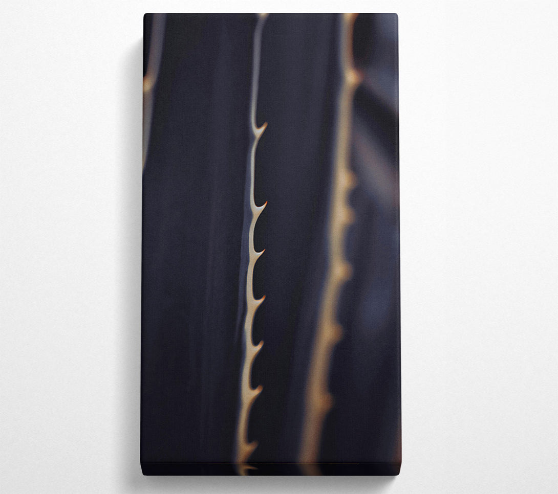  A Canvas Print of Golden Spines On Black Canvas Wall Art
