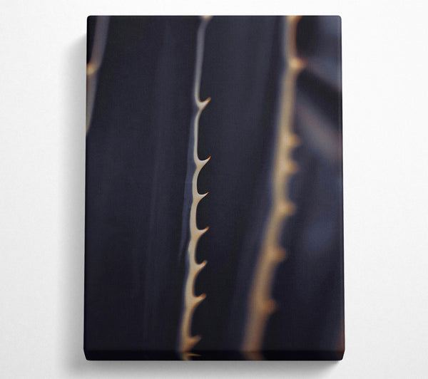  A Canvas Print of Golden Spines On Black Canvas Wall Art