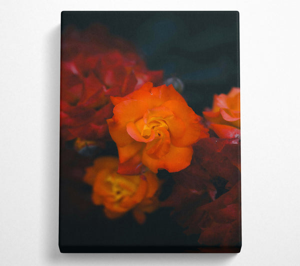  A Canvas Print of Orange Blossom Bloom Canvas Art