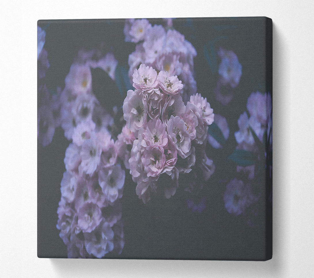  A Canvas Print of Lavender Bloom'S Embrace Canvas Wall Art