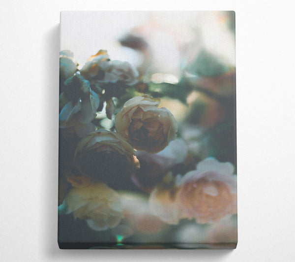  A Canvas Print of Pale Green Rosebuds Canvas Wall Art