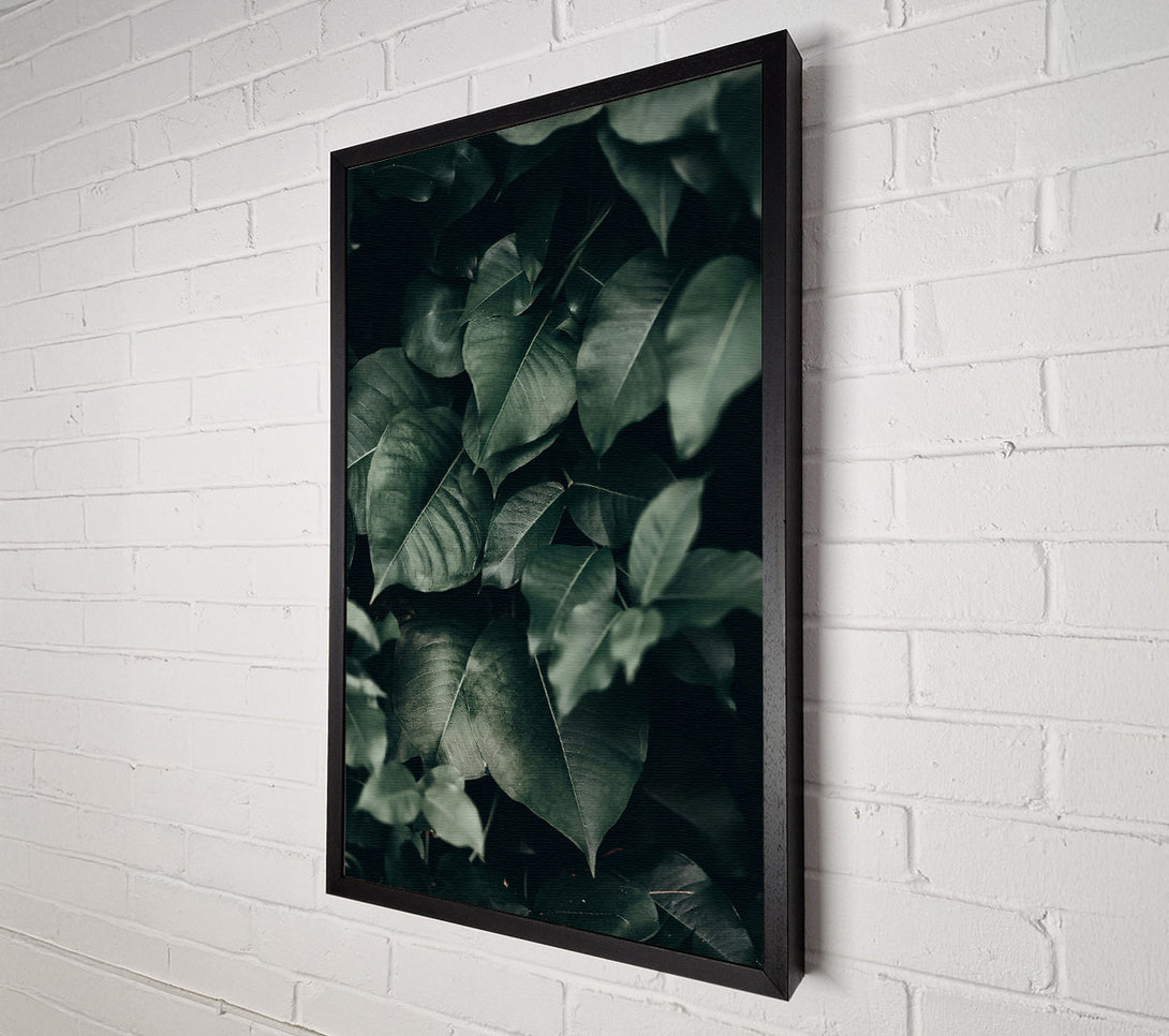  A Canvas Print of Emerald Jungle Leaves Canvas Print