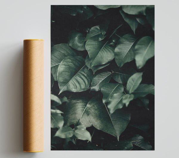 Emerald Jungle Leaves Print