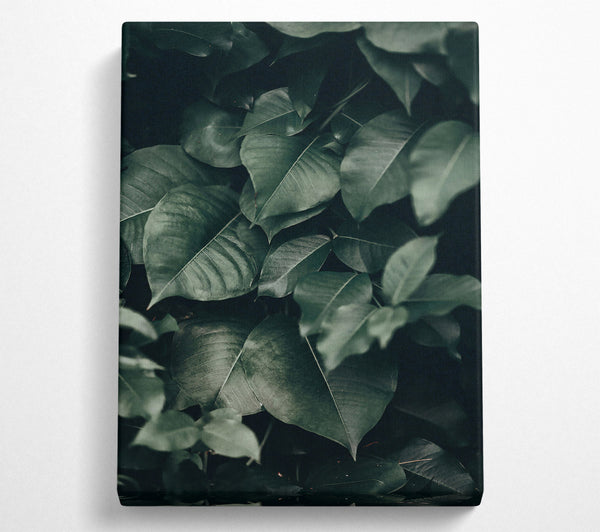  A Canvas Print of Emerald Jungle Leaves Canvas Print