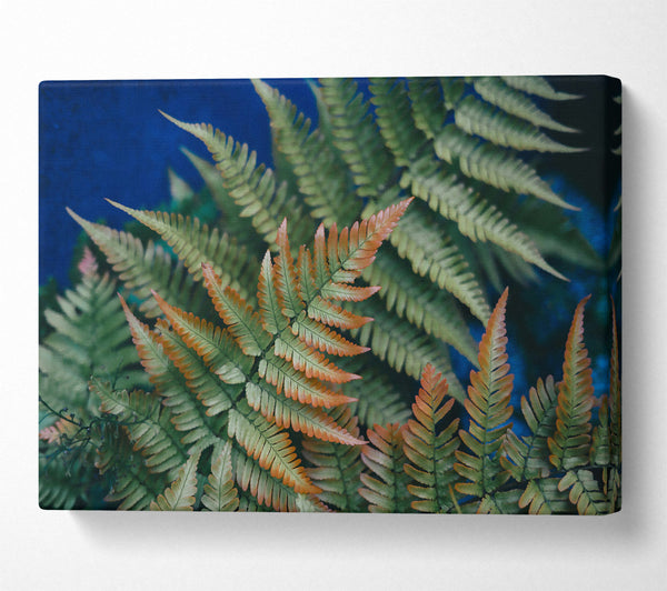  A Canvas Print of Emerald & Rust Ferns Canvas Art