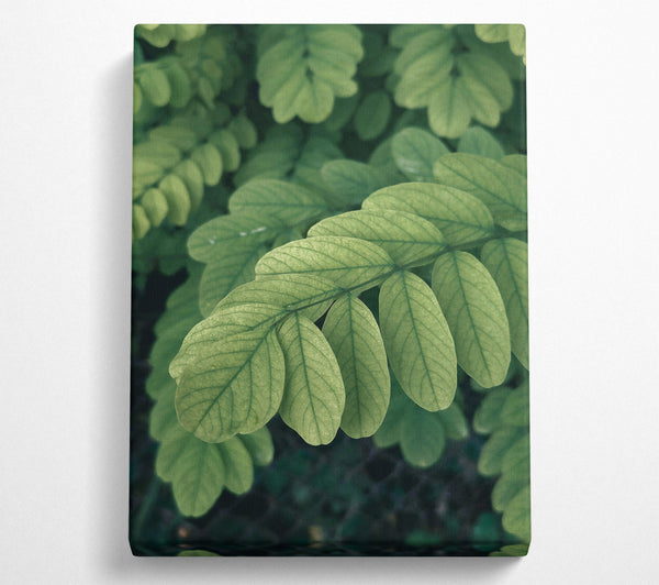 A Canvas Print of Emerald Green Veins Canvas Art