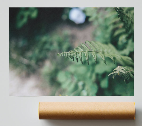 Emerald Fern Frond Poster