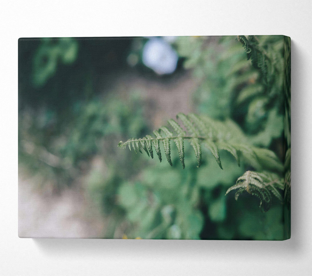  A Canvas Print of Emerald Fern Frond Canvas Wall Art