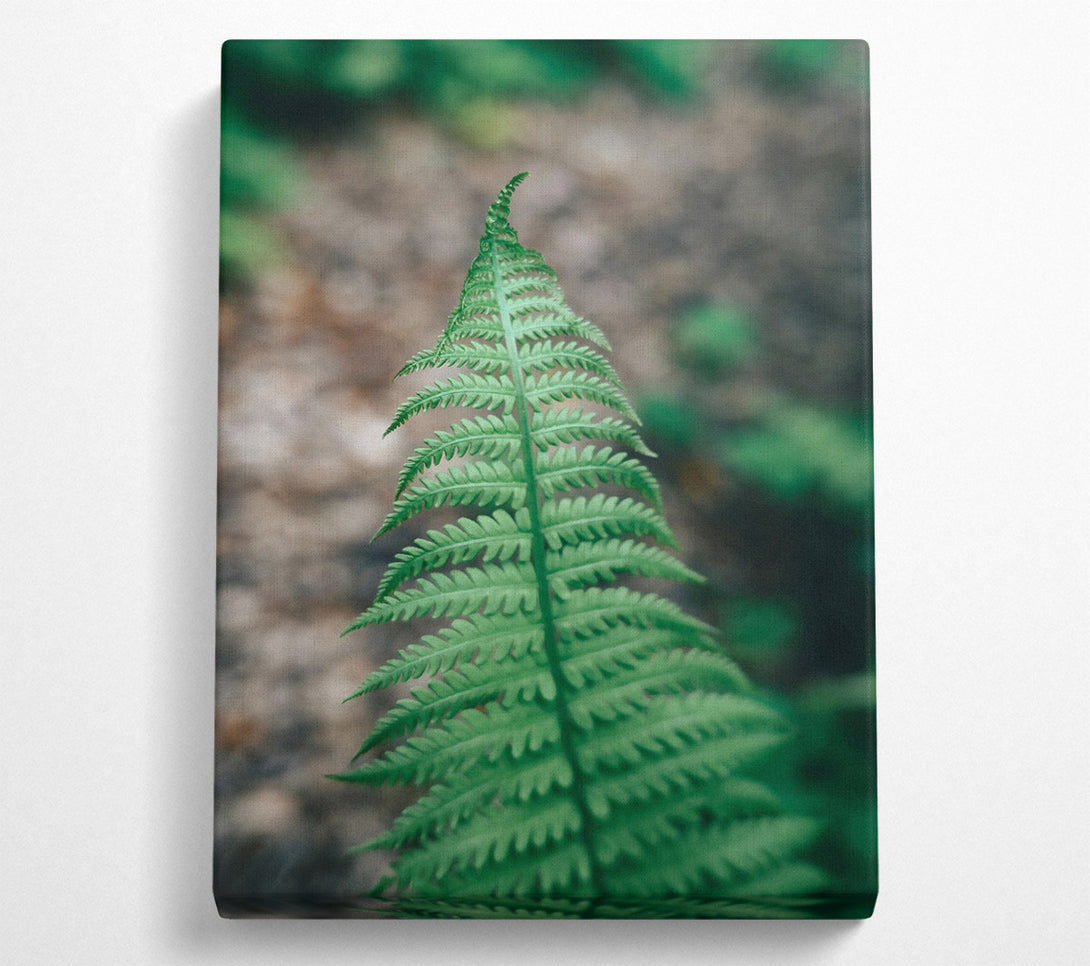  A Canvas Print of Emerald Fern Frond Canvas Wall Art