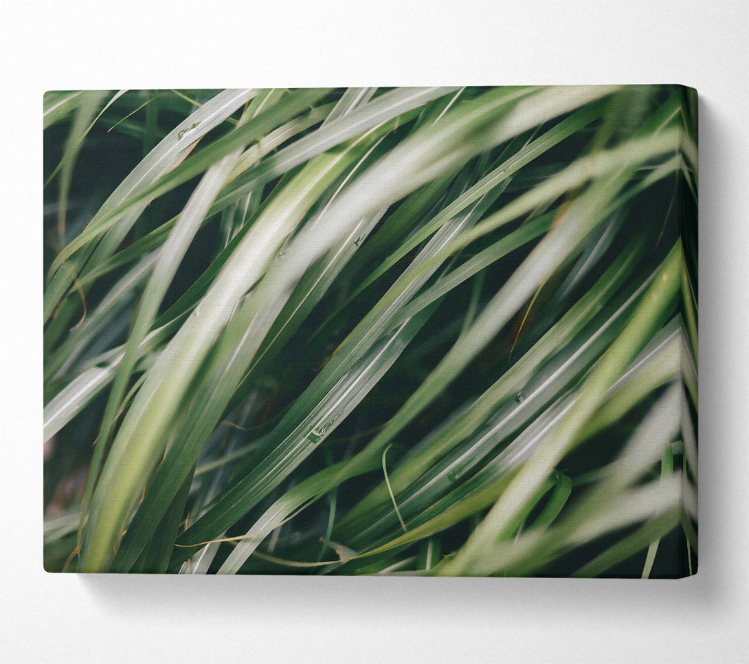  A Canvas Print of Emerald Green Blades Canvas Wall Art