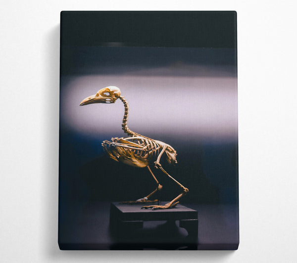  A Canvas Print of Golden Bird Skeleton Canvas Art