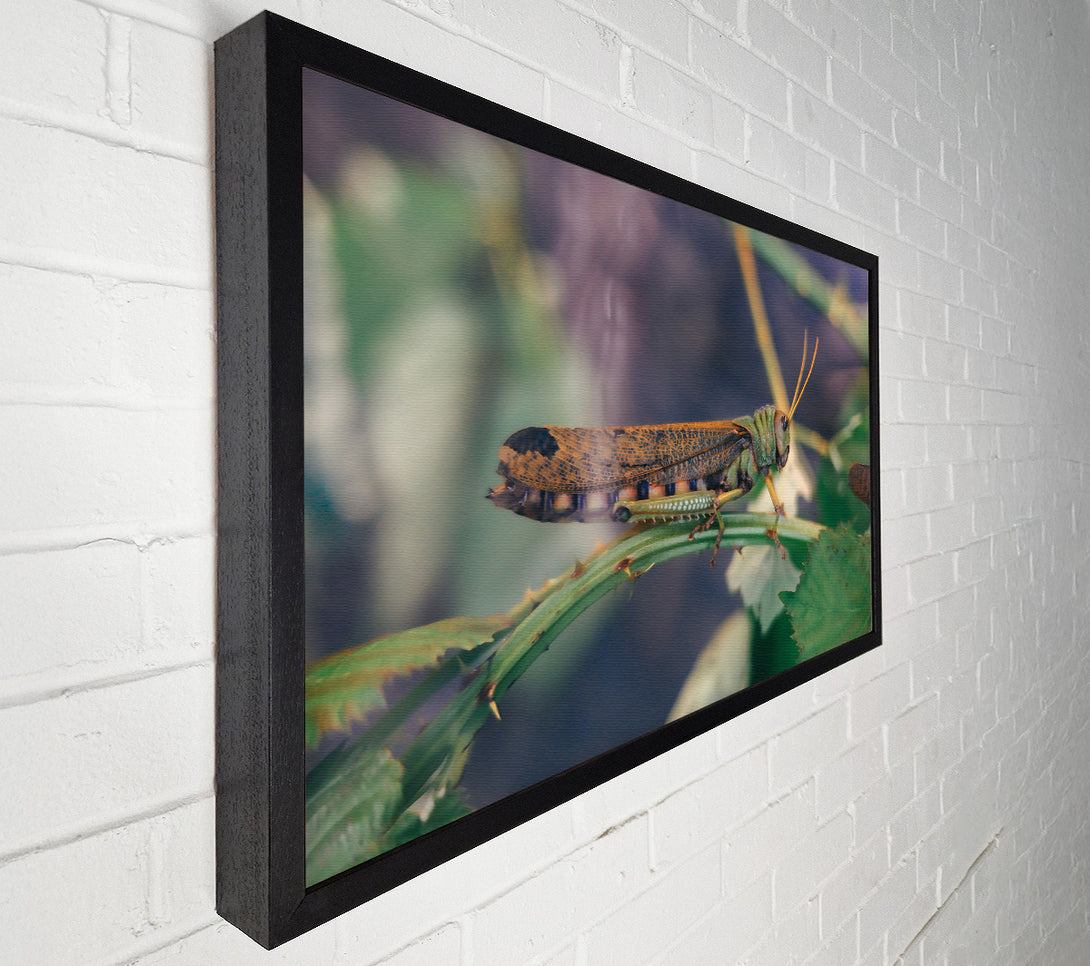  A Canvas Print of Green And Brown Hopper Canvas Wall Art