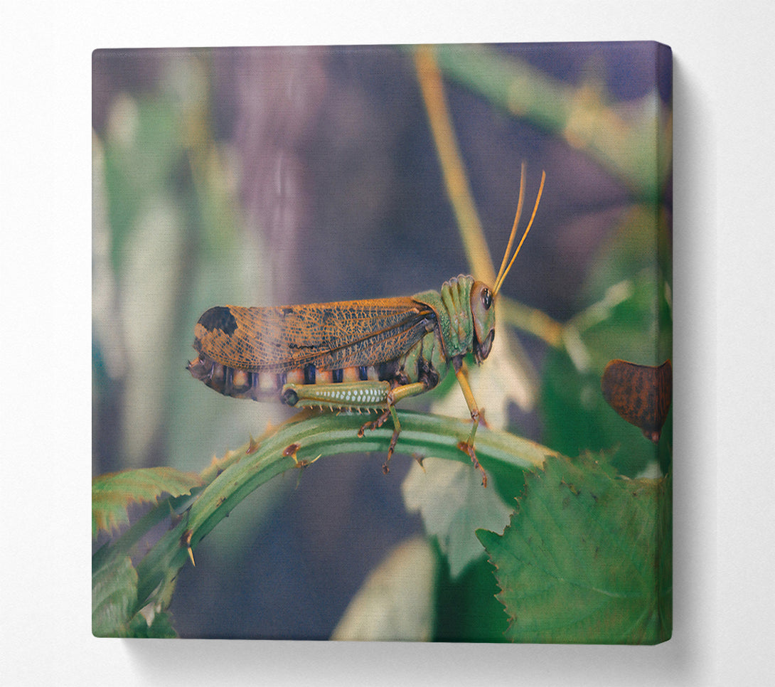 A Canvas Print of Green And Brown Hopper Canvas Wall Art