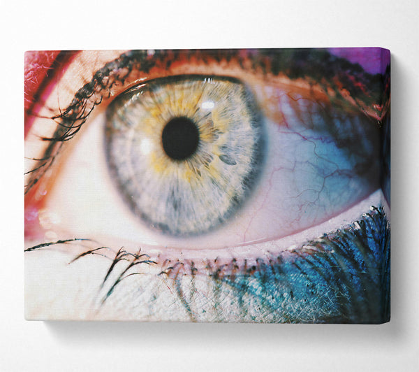  A Canvas Print of Blue Iris Detail Canvas Wall Art