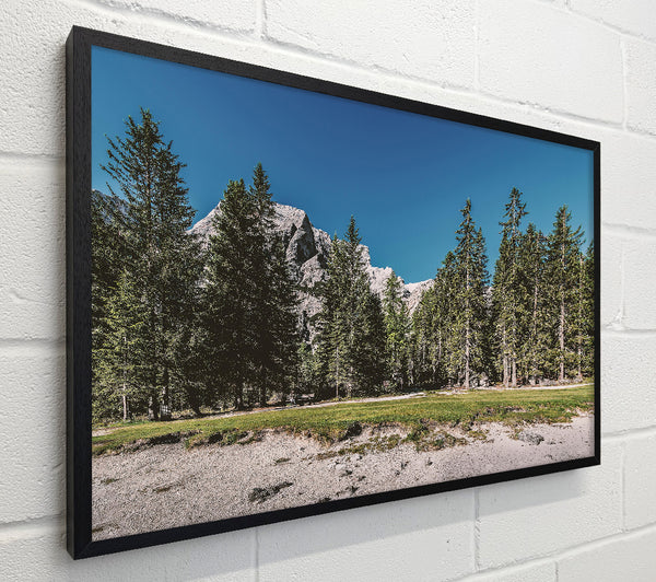 Green Pines And White Peaks