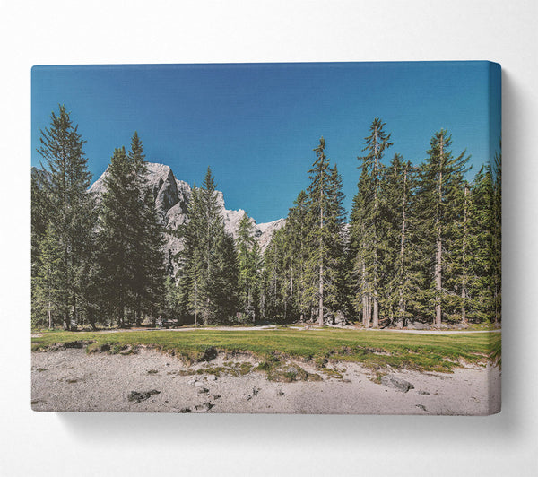  A Canvas Print of Green Pines And White Peaks Canvas Art