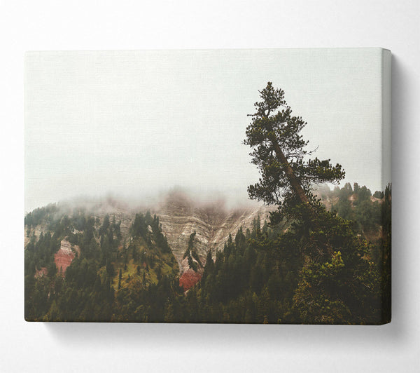  A Canvas Print of Green Foggy Mountainside Canvas Wall Art