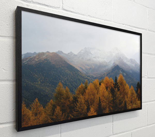 Golden Mountain Fog