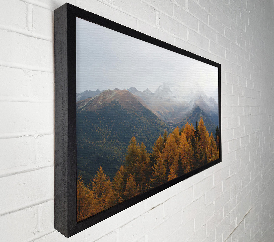  A Canvas Print of Golden Mountain Fog Canvas Wall Art