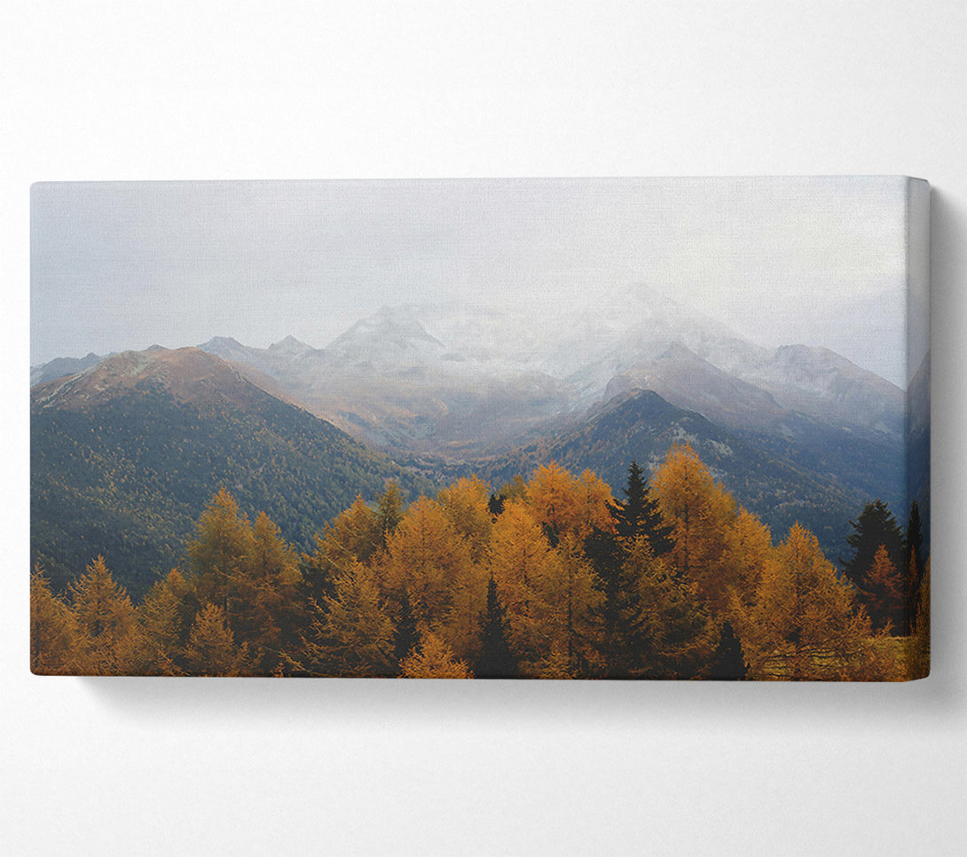  A Canvas Print of Golden Mountain Fog Canvas Wall Art