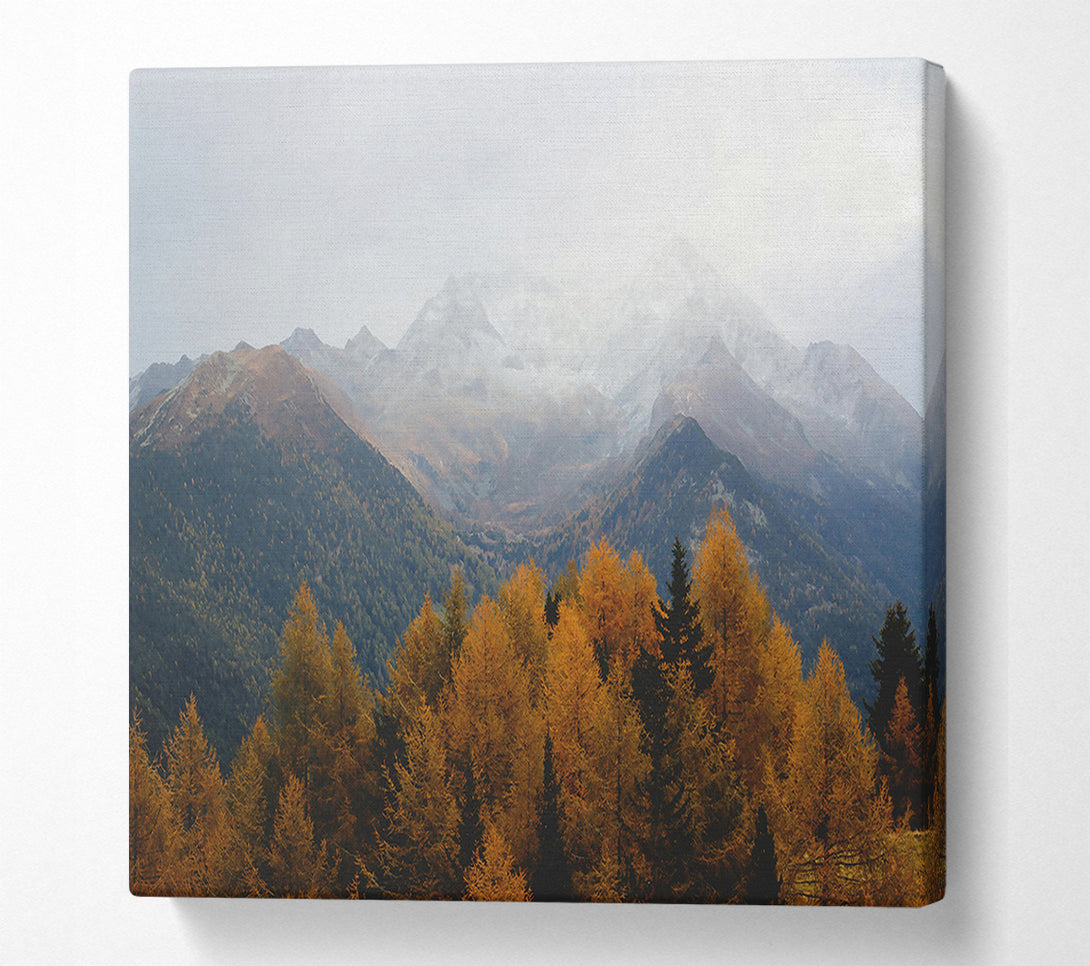  A Canvas Print of Golden Mountain Fog Canvas Wall Art