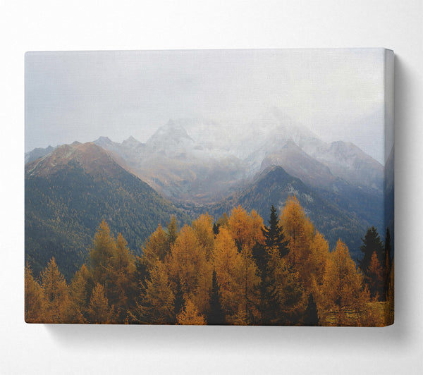 A Canvas Print of Golden Mountain Fog Canvas Wall Art