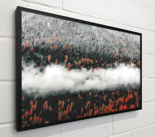 Orange Forest Fog