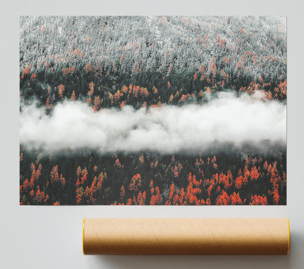Orange Forest Fog Poster
