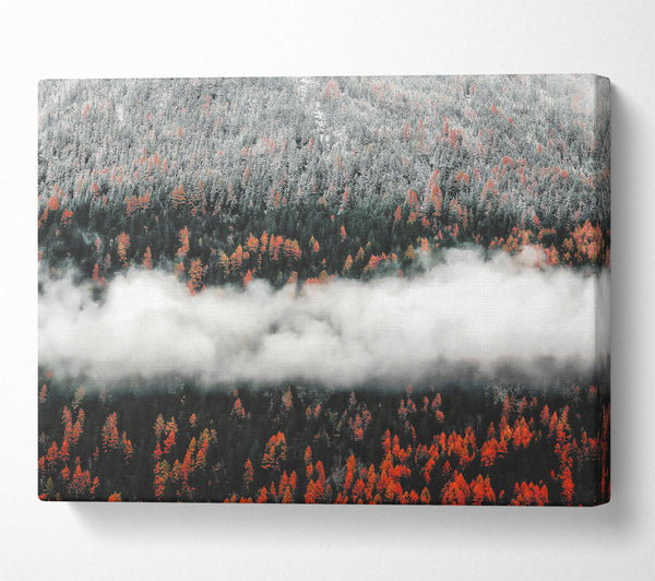  A Canvas Print of Orange Forest Fog Canvas Art