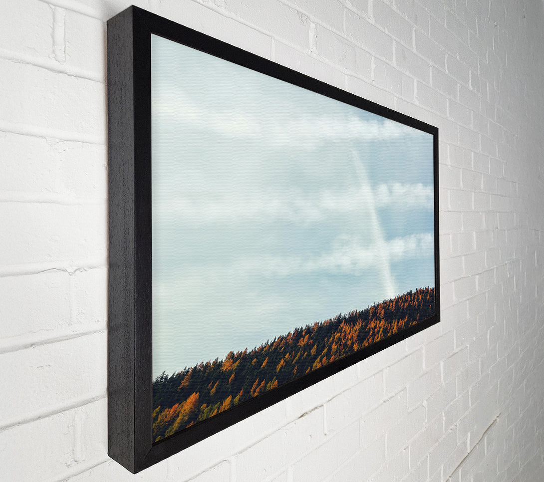  A Canvas Print of White Clouds & Orange Trees Canvas Print