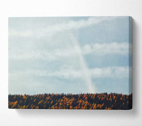  A Canvas Print of White Clouds & Orange Trees Canvas Print