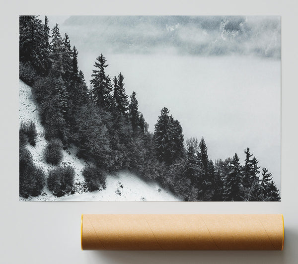Silver Forest Fog Giclee Print
