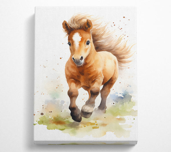  A Canvas Print of Pony Watercolour Canvas Wall Art