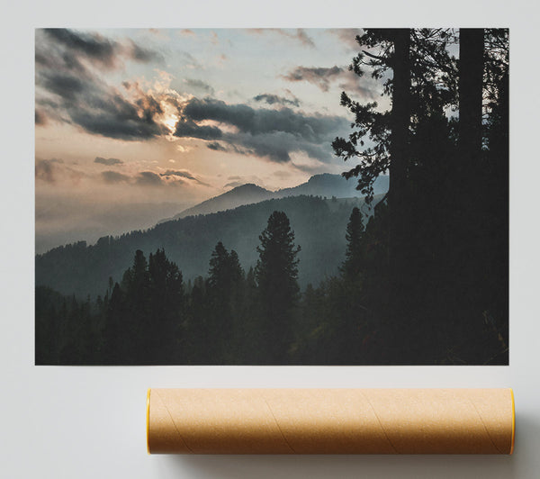 Golden Hour Pines Giclee Print