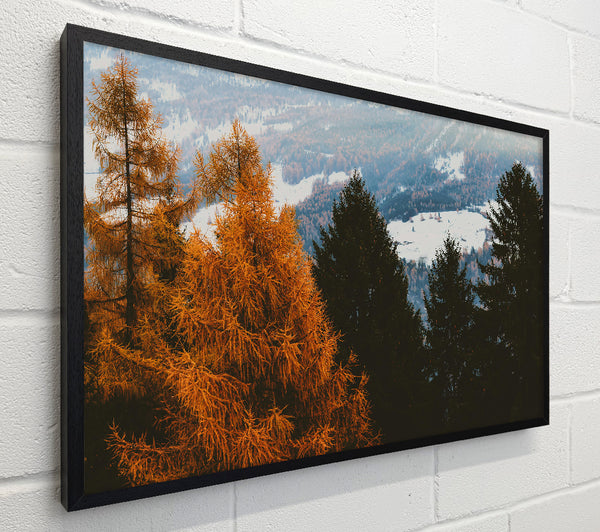 Golden Pine Silhouette