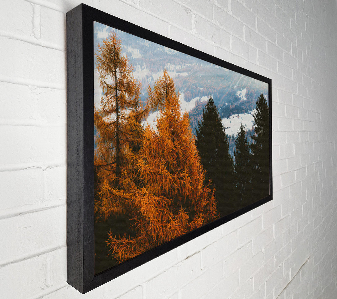  A Canvas Print of Golden Pine Silhouette Canvas Wall Art