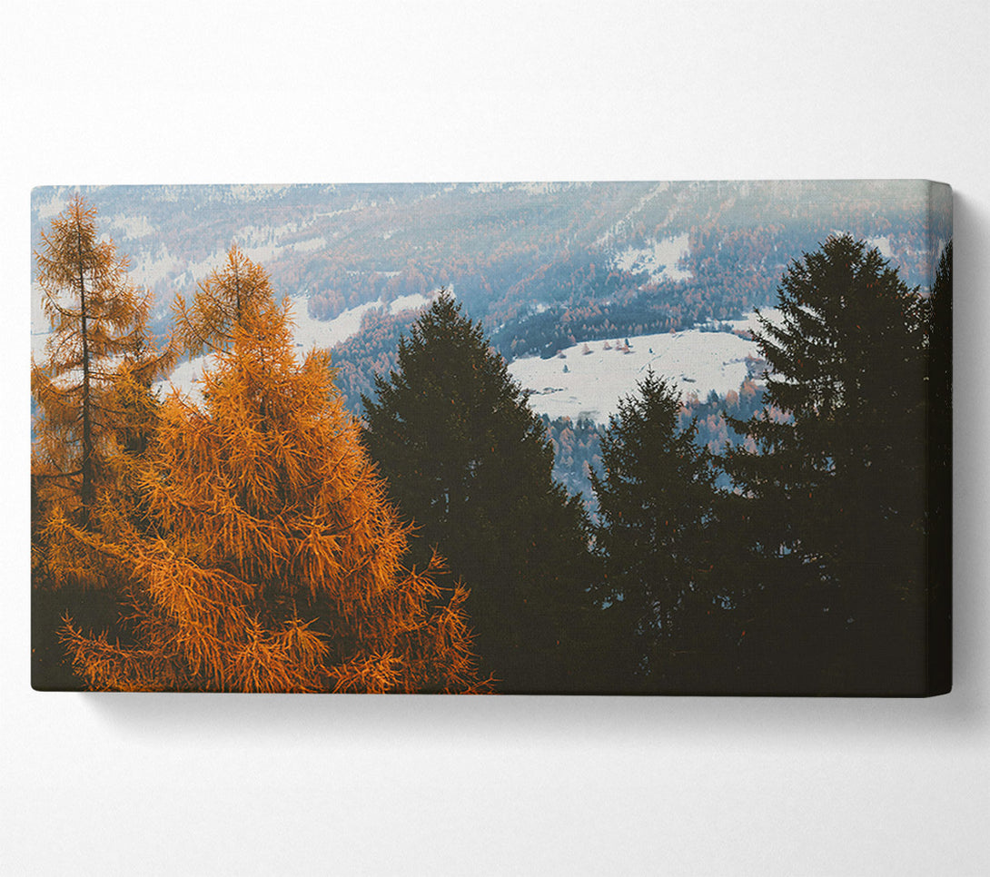  A Canvas Print of Golden Pine Silhouette Canvas Wall Art