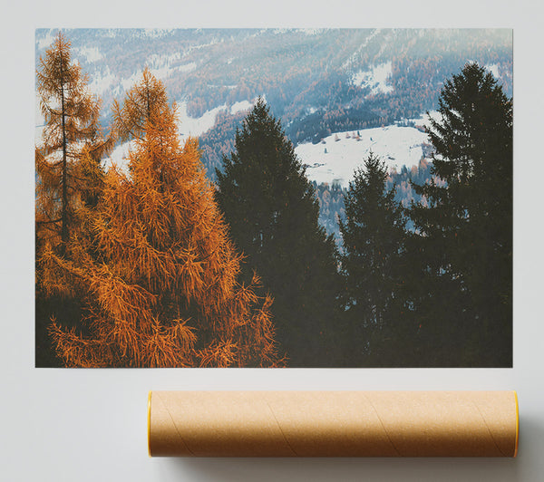 Golden Pine Silhouette Giclee Print