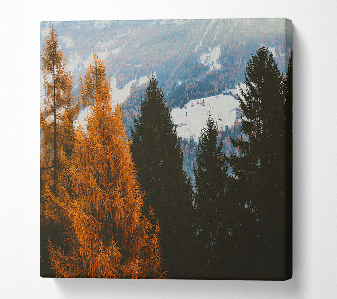  A Canvas Print of Golden Pine Silhouette Canvas Wall Art